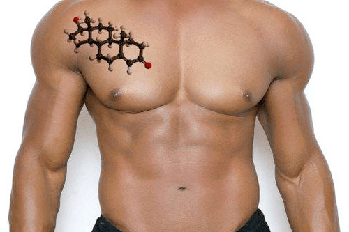 beautiful male torso